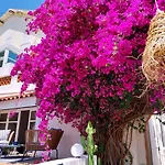 Villa Bleue Au Roucas Blanc - Piscine & Mer - Du Samedi Au Samedi