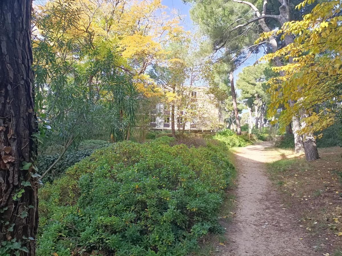 Vue Et Montagne Dans Parc Du Roy D'espagne, Up To 7 People