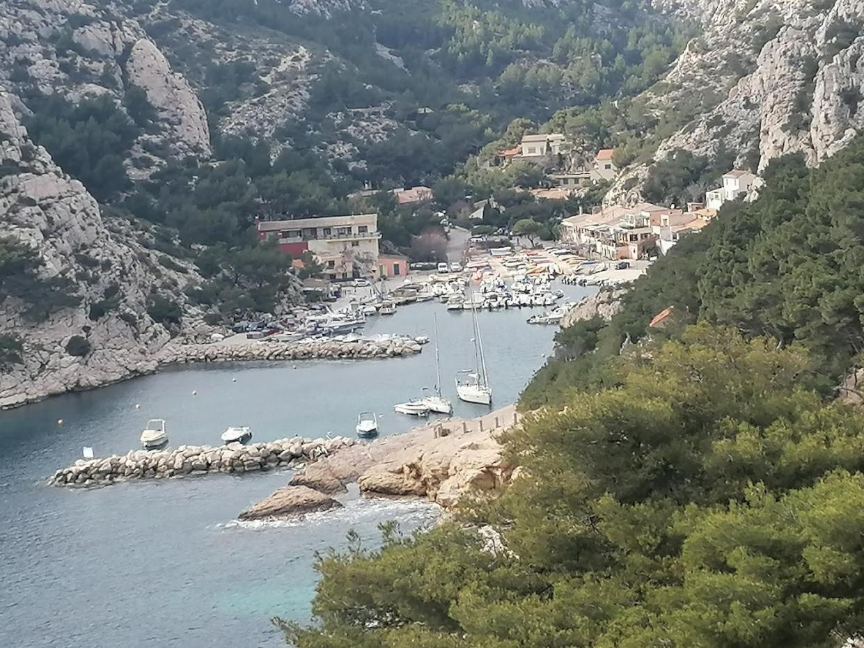 Superbe Des Catalans