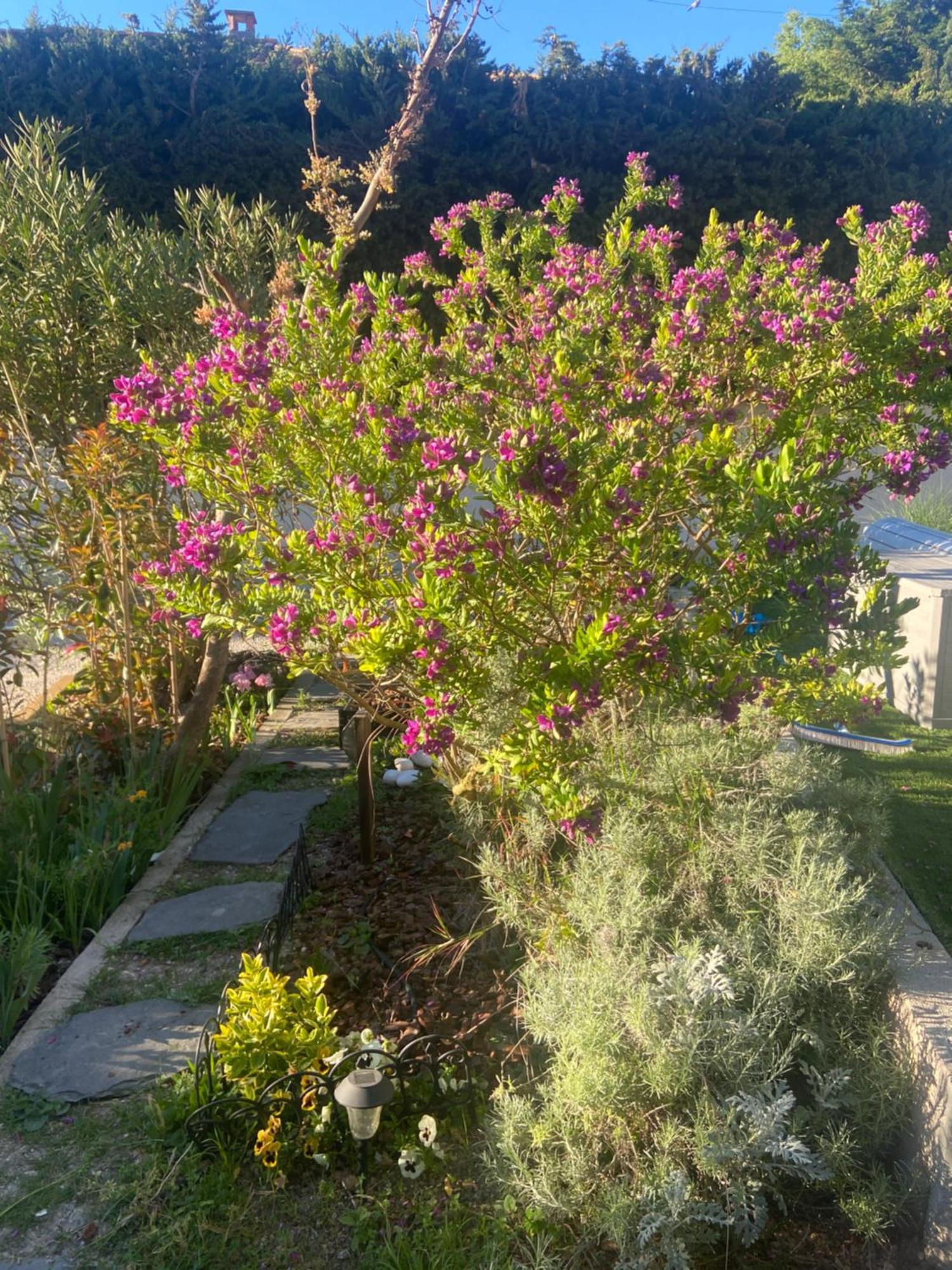 Villa Azur - Piscine Et Climatisation