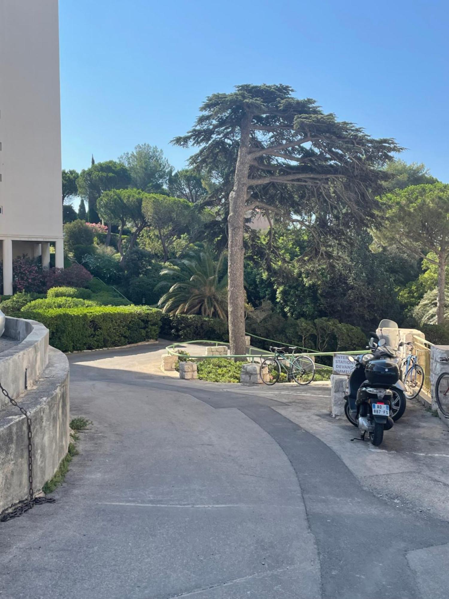 Apartment Vu Sur Mer Corniche *