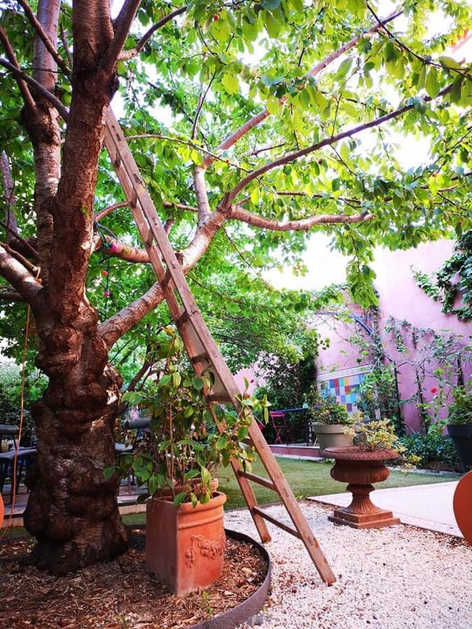 Vieux Port Panier Jardin * Marseilles