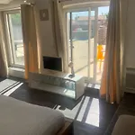 Bon Sejour Au Soleil