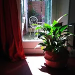 La Pepiniere