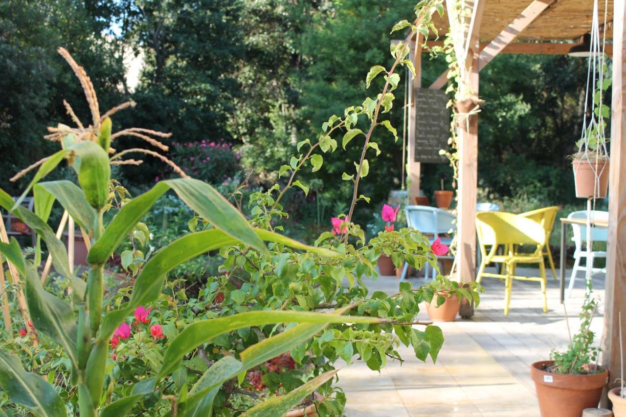 Bed & Breakfast Ginkgo Marseilles