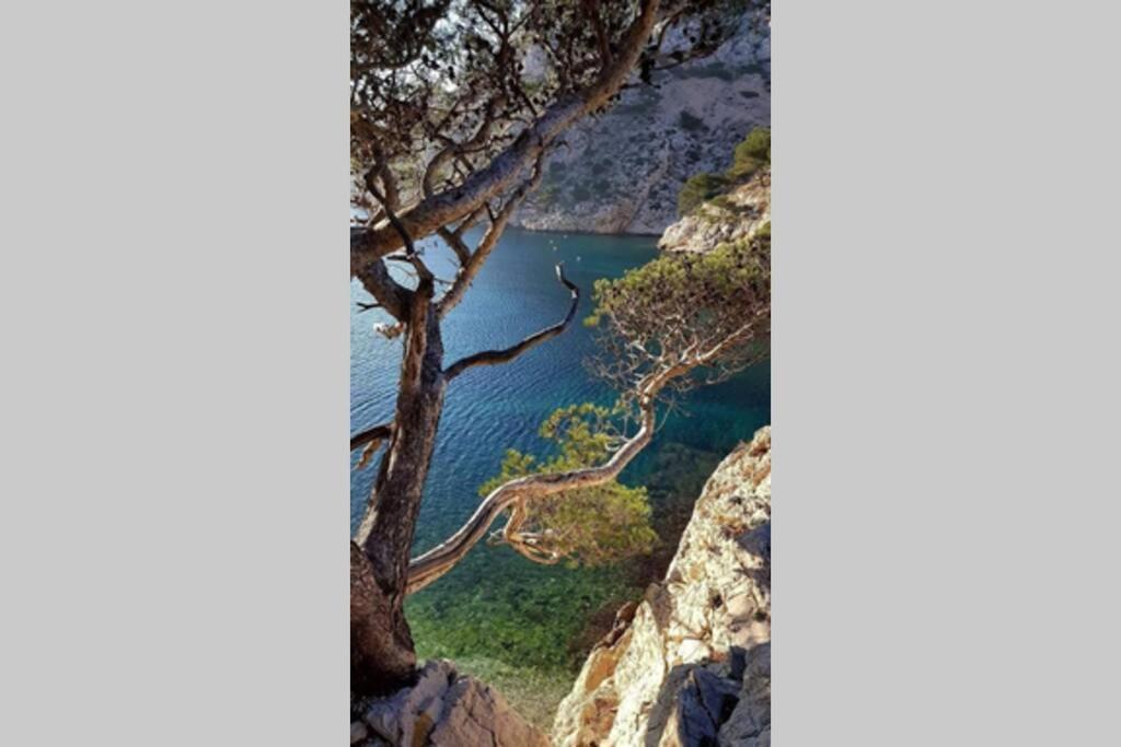 Sur La Corniche Appartement *