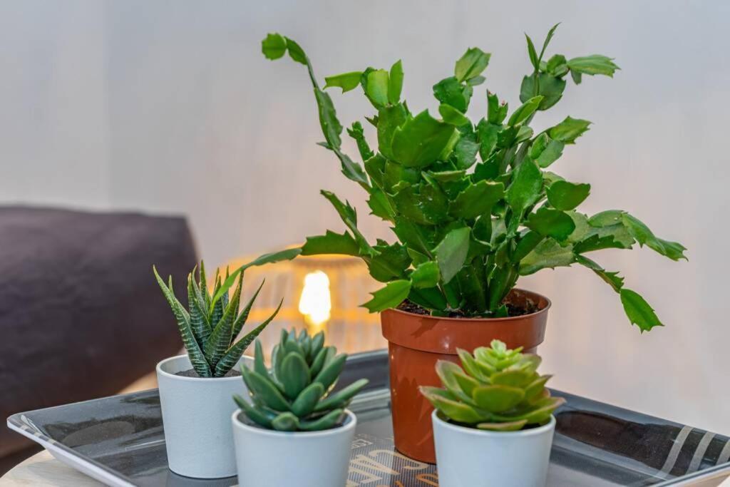 T2 Catalans-vieux Port Appartement Marseilles