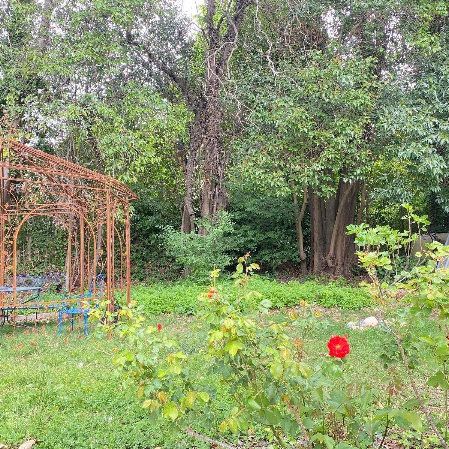Holiday home Domaine Les Petits Champs: Les Penates Marseille