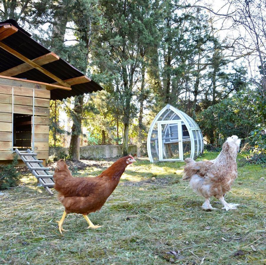Domaine Les Petits Champs: Les Penates Holiday home *