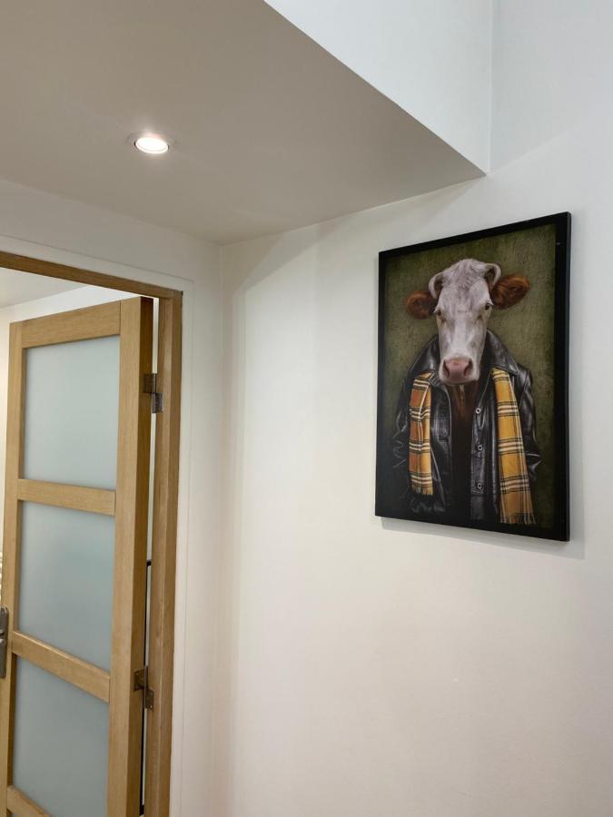 Le Loft Du Panier Apartment *
