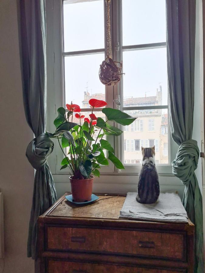 Privatunterkunft Jolie Dans Cosy En Plein Centre Marseilles