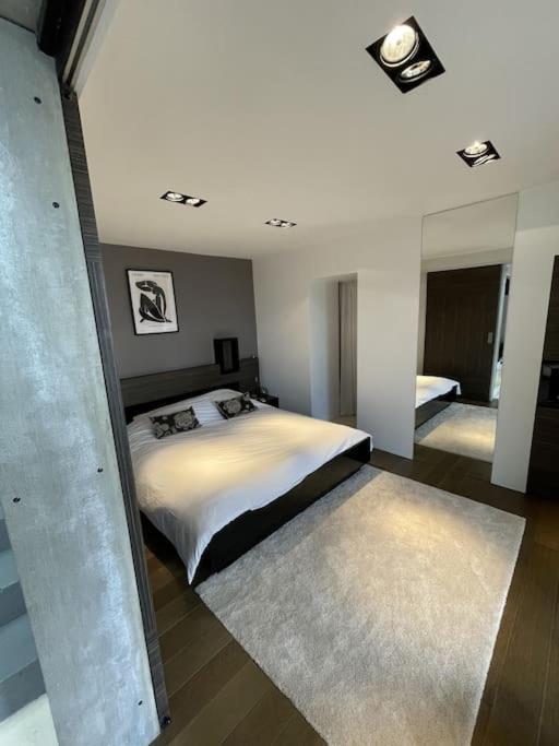 Maison Contemporaine Vue Villa *