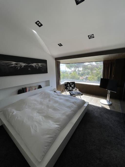 Villa Maison Contemporaine Vue