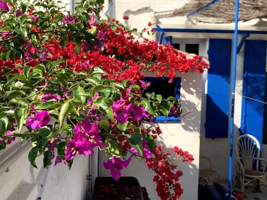 En Bord De A Malmousque Villa *
