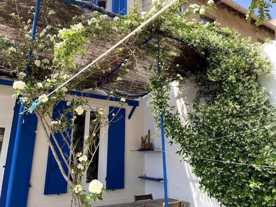 Villa En Bord De A Malmousque Marseille