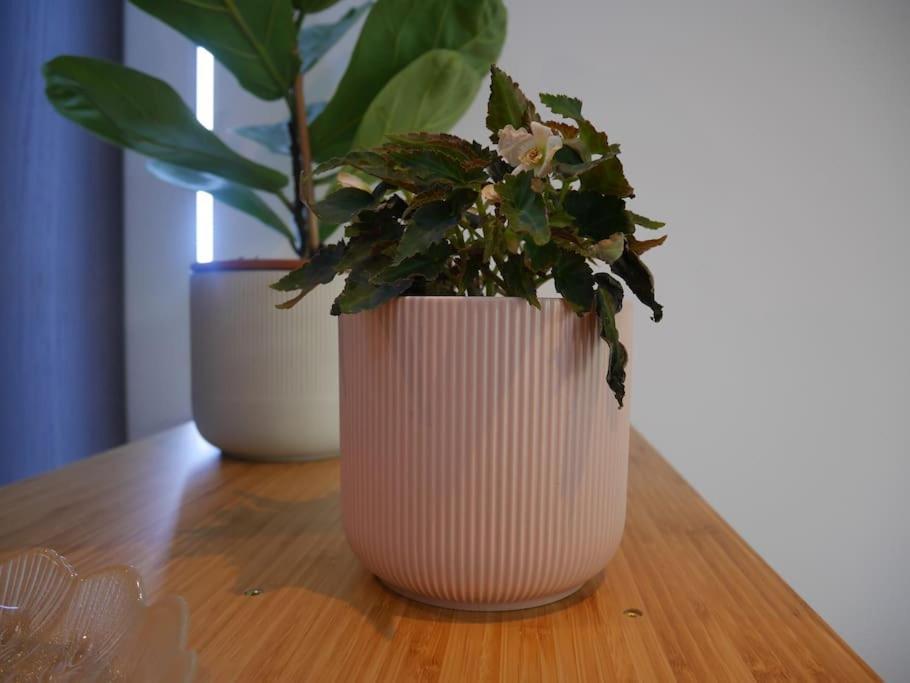 Apartamento Le Marceau - Terrasse Plein Sud