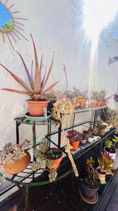 Le Jardin Du Roucas Appartement