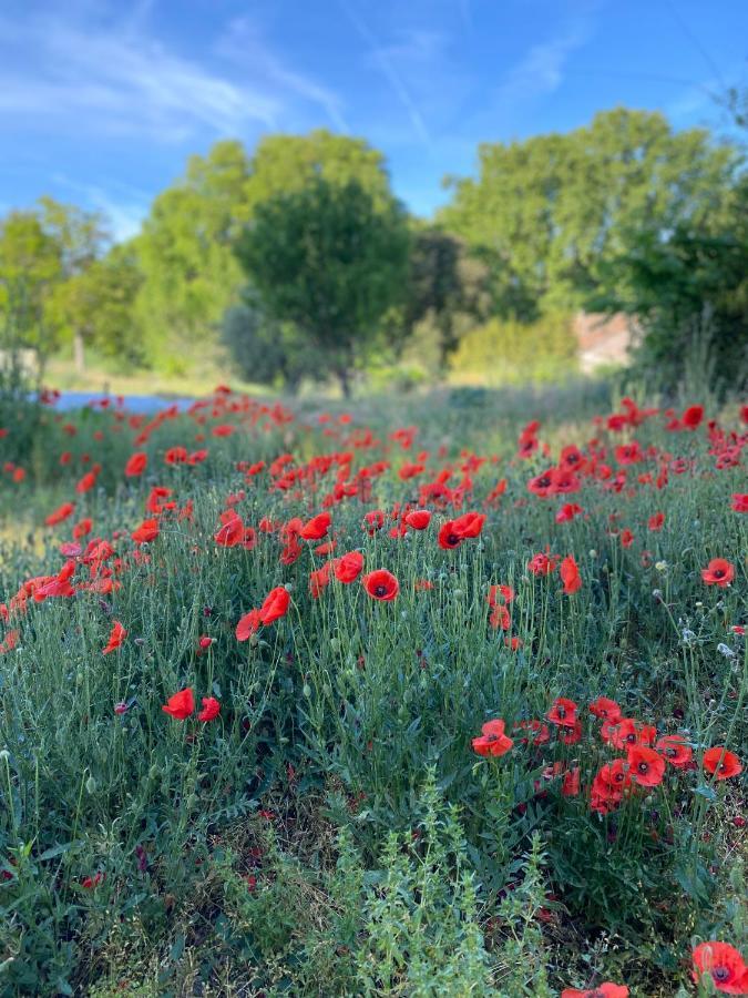 Dépendance De Bastide Climatisée Dans Parc Exceptionnel, Au Calme