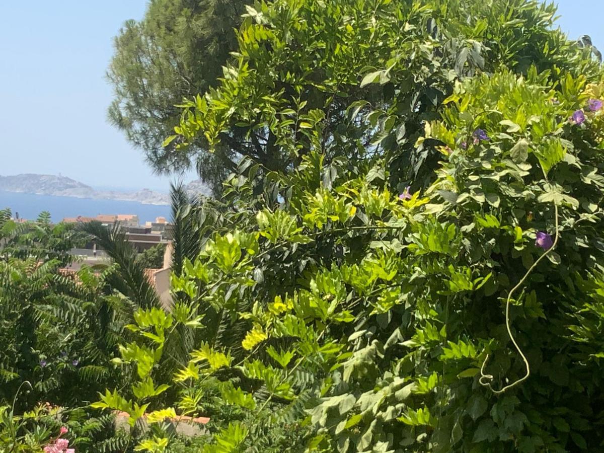 Apartment C'est La Qu'il Faut Venir Cet Ete