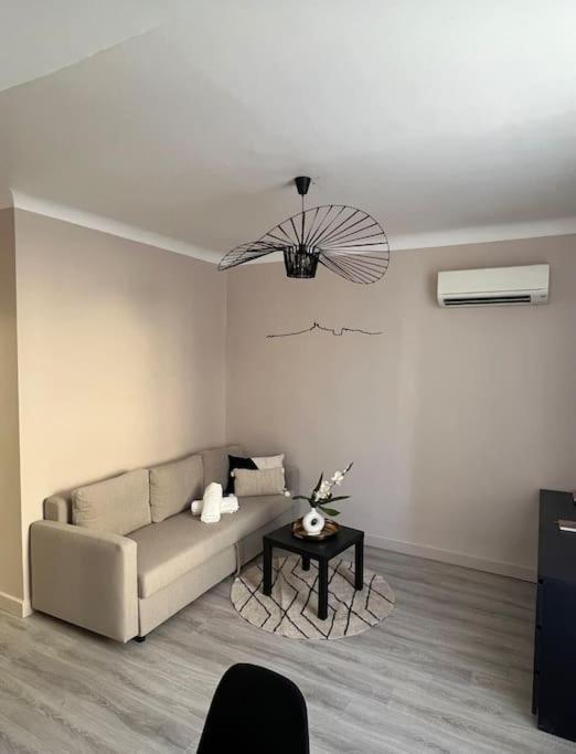 T1 Climatise En Centre / Paradis Apartamento *