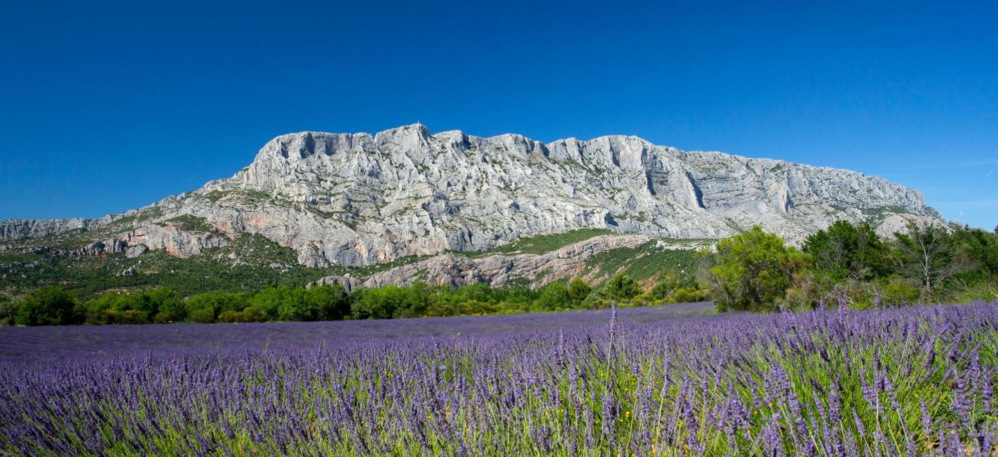 Roucas - Sud Passion - Calme - Fibre Apartamento *