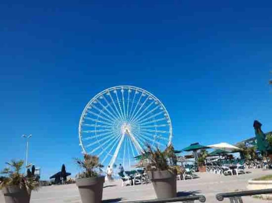Appartement Prado David - Stade Velodrome - Parc Chanot - Luxury By The Sea