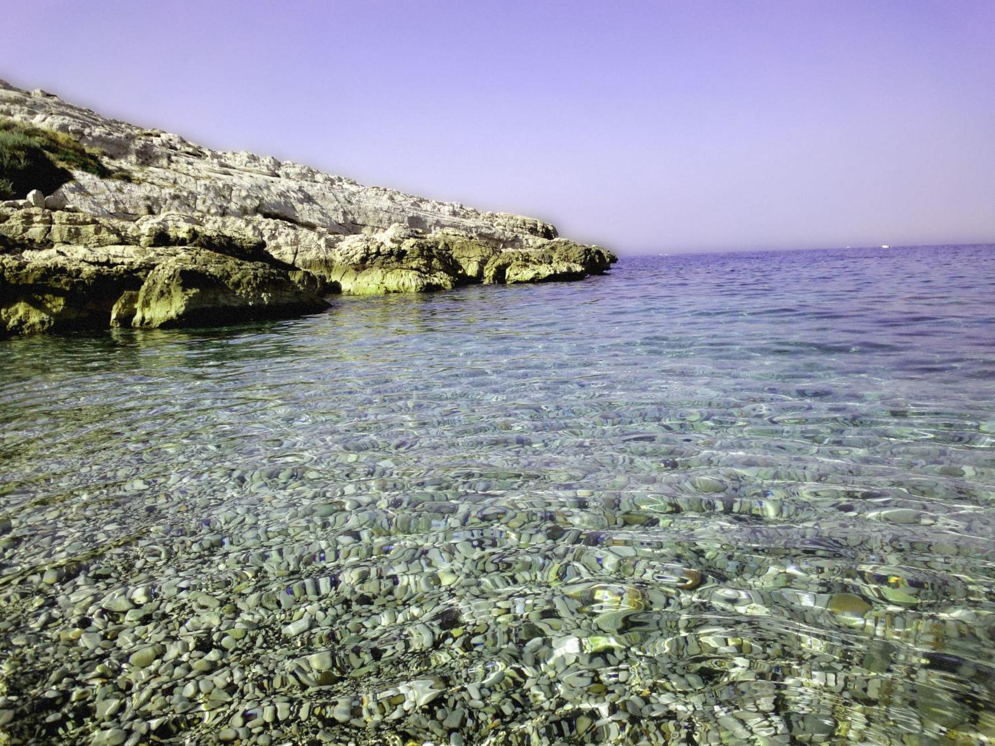 La Petite Calanque Marseille