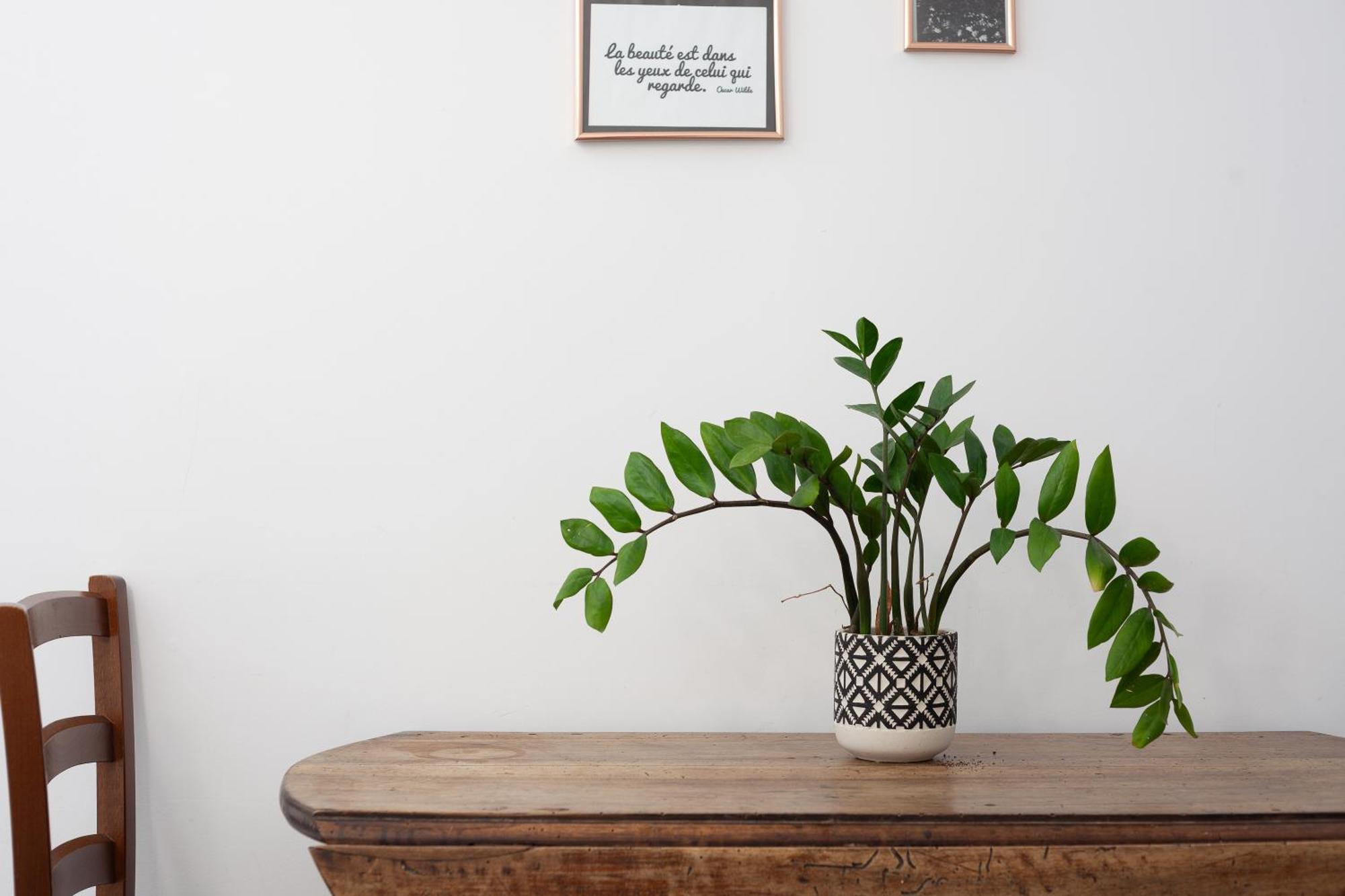 Apartment T2 Dans Les Pins