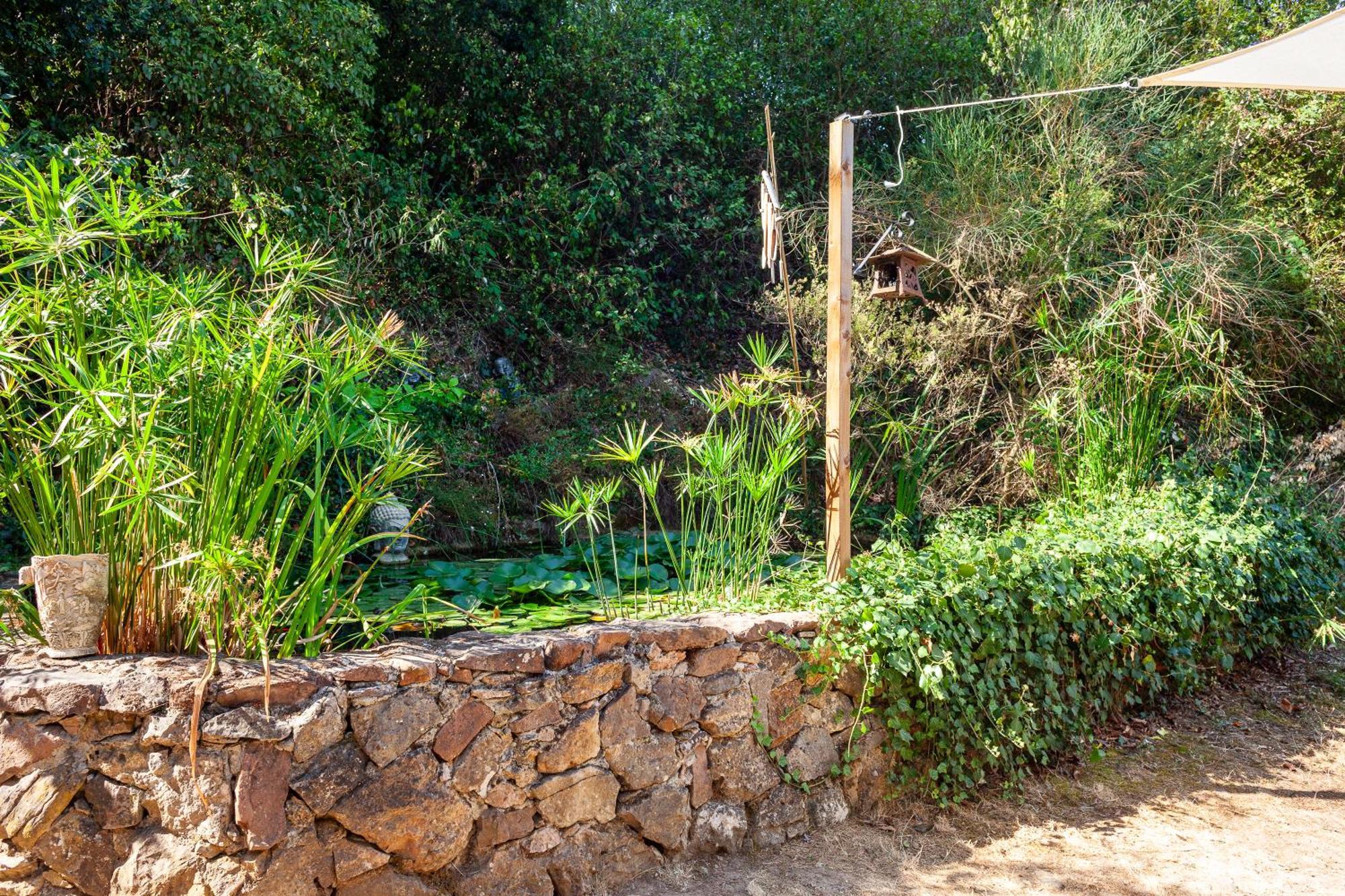 Apartment T2 Dans Les Pins