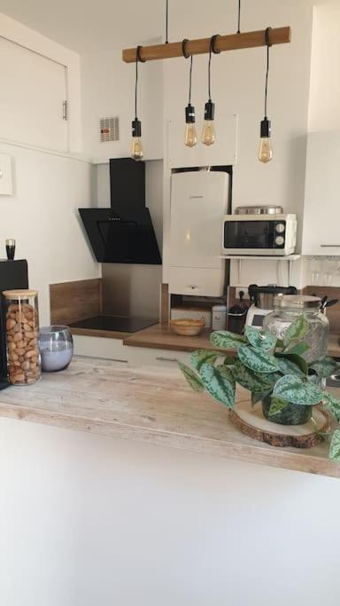Appartement Mon Jardin Secret Marseillais Avec Terrasse Dans Le Quartier Cool Du Monde Marseilles