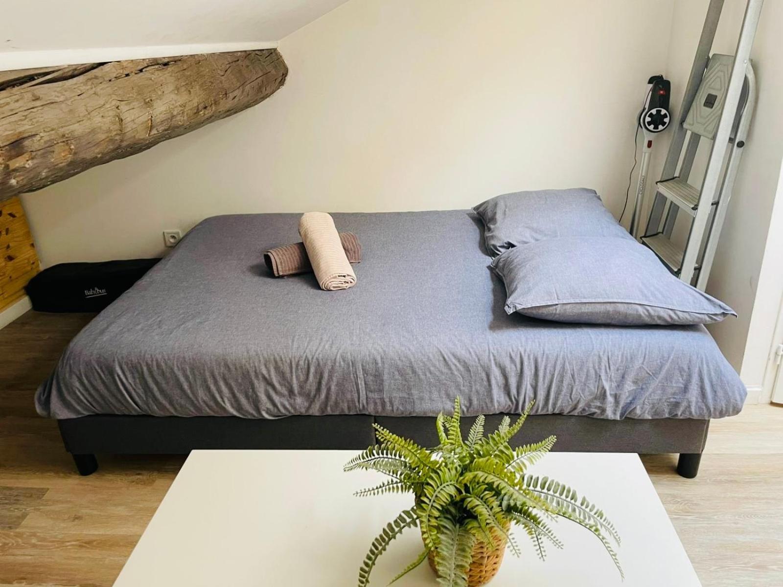 Joli Nid Douillet Au Vieux-port Marseille