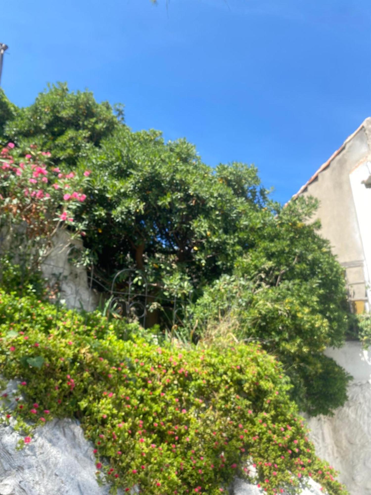 Ferienhaus Au Coeur Du Parc National Du Massif Des Calanques, La Flibuste Des Goudes, Maison 2 Chambres, Climatisee, Jardins, Solarium, Proche Plage, Large Vue