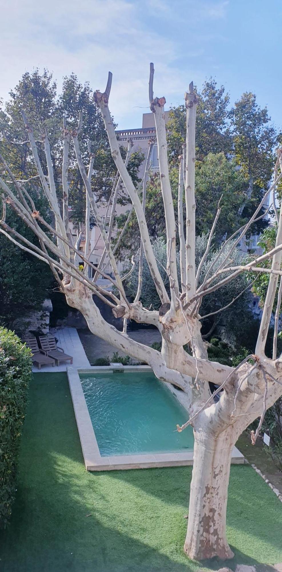 Bed & Breakfast La Bastide De Patou, De 2 A 6 Personnes *