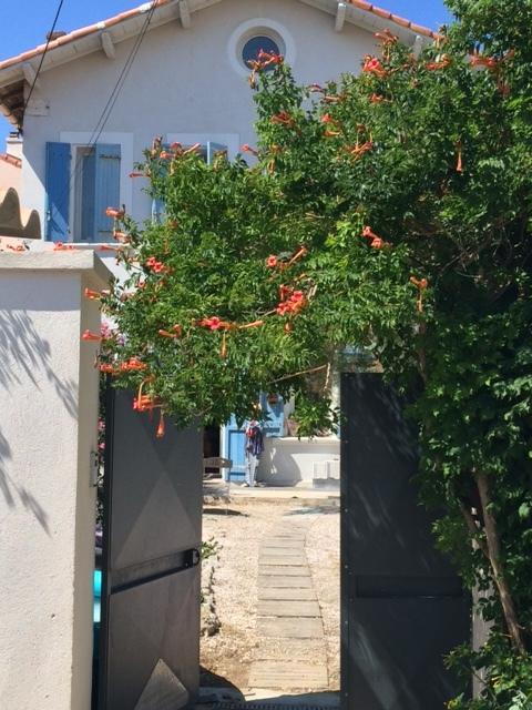Le Volet Bleu Marseilles