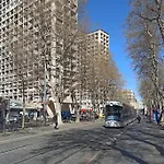 Thubaneau 2 - Nid Douillet A 3 Min A Pied De La Canebiere