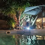 L\'Oliveraie