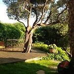 Villa Montee De La Rotonde