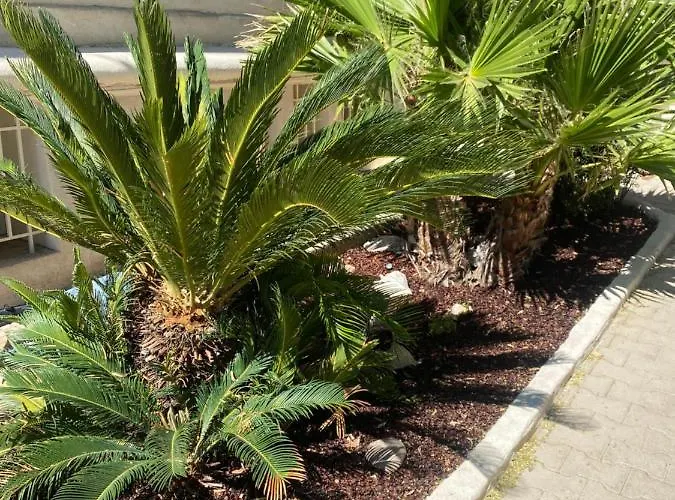 Casa Cacao Pres Plage Et Velodrome