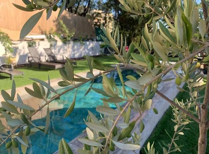 Un Jardin En Ville