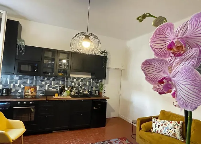 Joli Appartement Au Coeur De Marseille