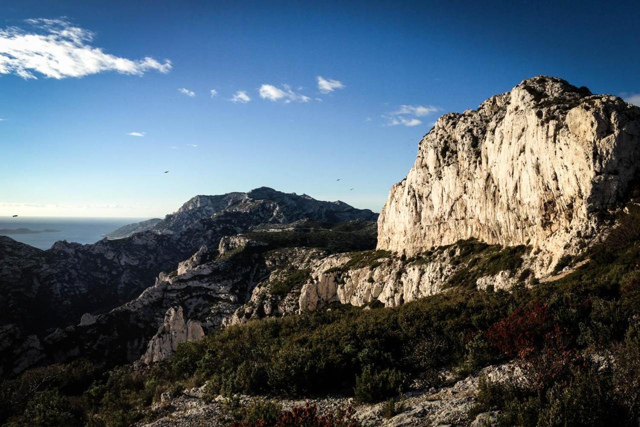 Le Cabanon Des Calanques *