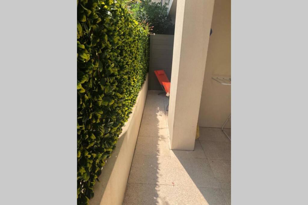 Spacieux Et Bel Avec Grande Terrasse Apartment *