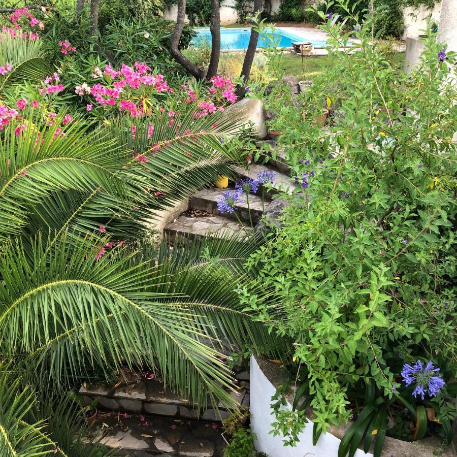 - Jardin Secret