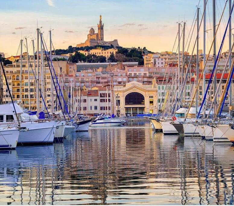 Citronnier Marseille