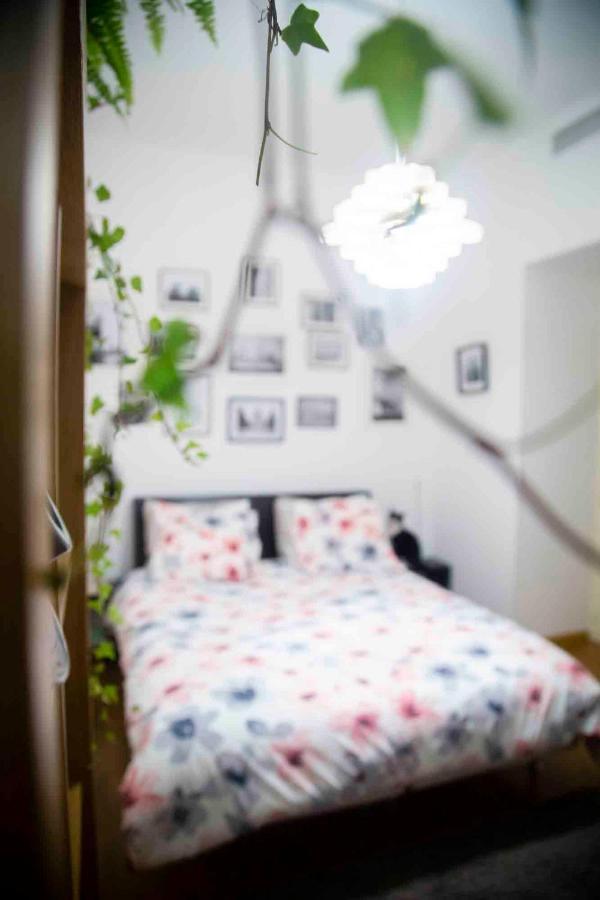 Ở trọ Fred's Guest Room, Vieuxport, Climatise, Friendly