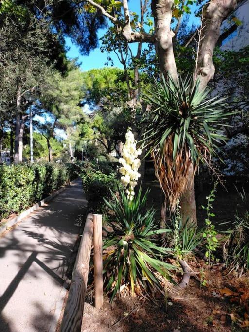 Apartamento Cigalou Sous Les Pins Marsella