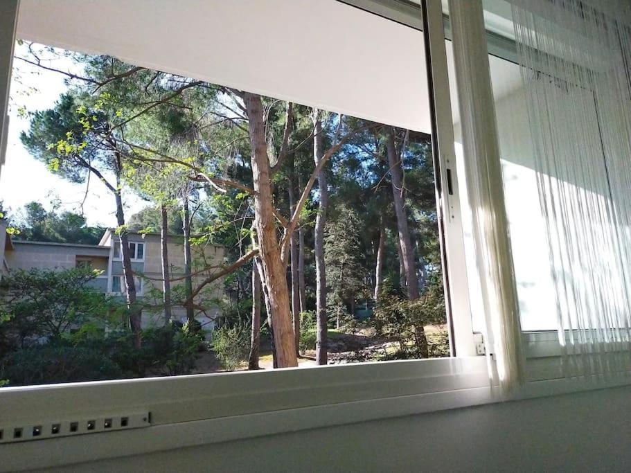Cigalou Sous Les Pins Apartamento Marsella