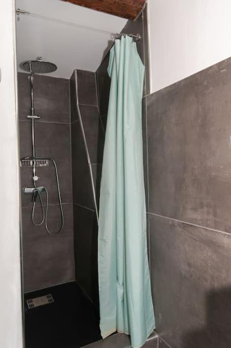 Appartement Magnifique Duplex Proche Cours Julien *