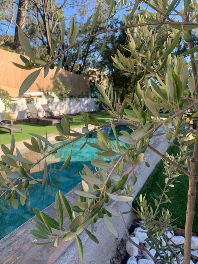 Apartment Un Jardin En