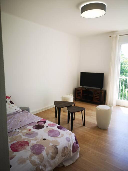 Apartment Pres De La Timone - Parking Et Wifi Gratuit Marseille